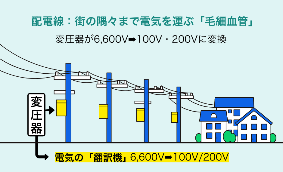 配電線：街の隅々まで電気を運ぶ「毛細血管」