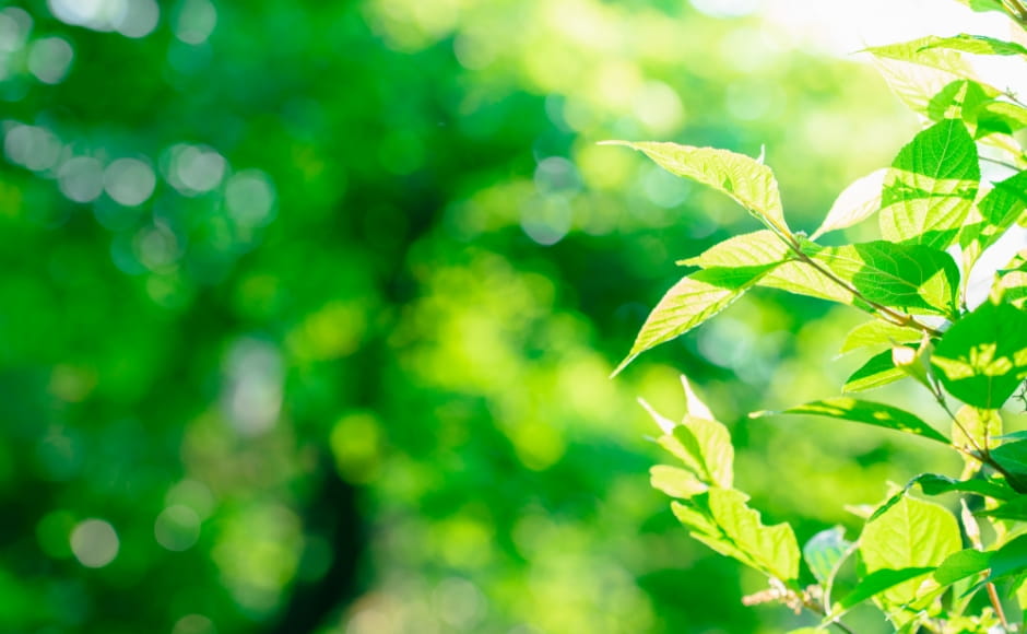 持続可能な社会に向けて