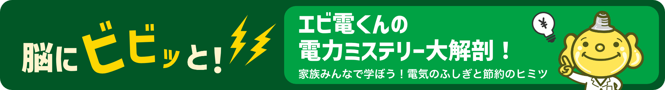 脳にビビッと！ エビ電くんの電力ミステリー大解剖！