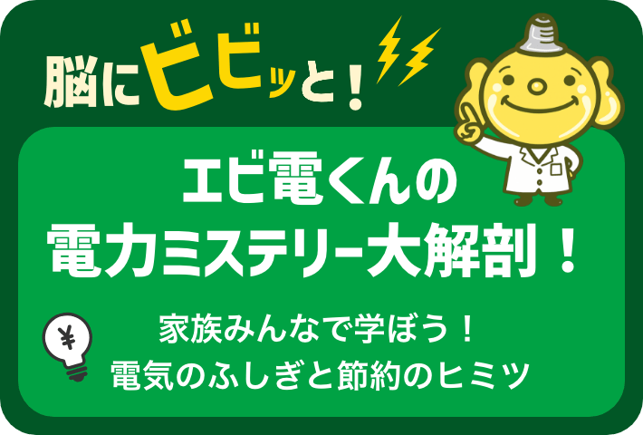 脳にビビッと！ エビ電くんの電力ミステリー大解剖！